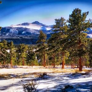 Meet your Posher, Bryan